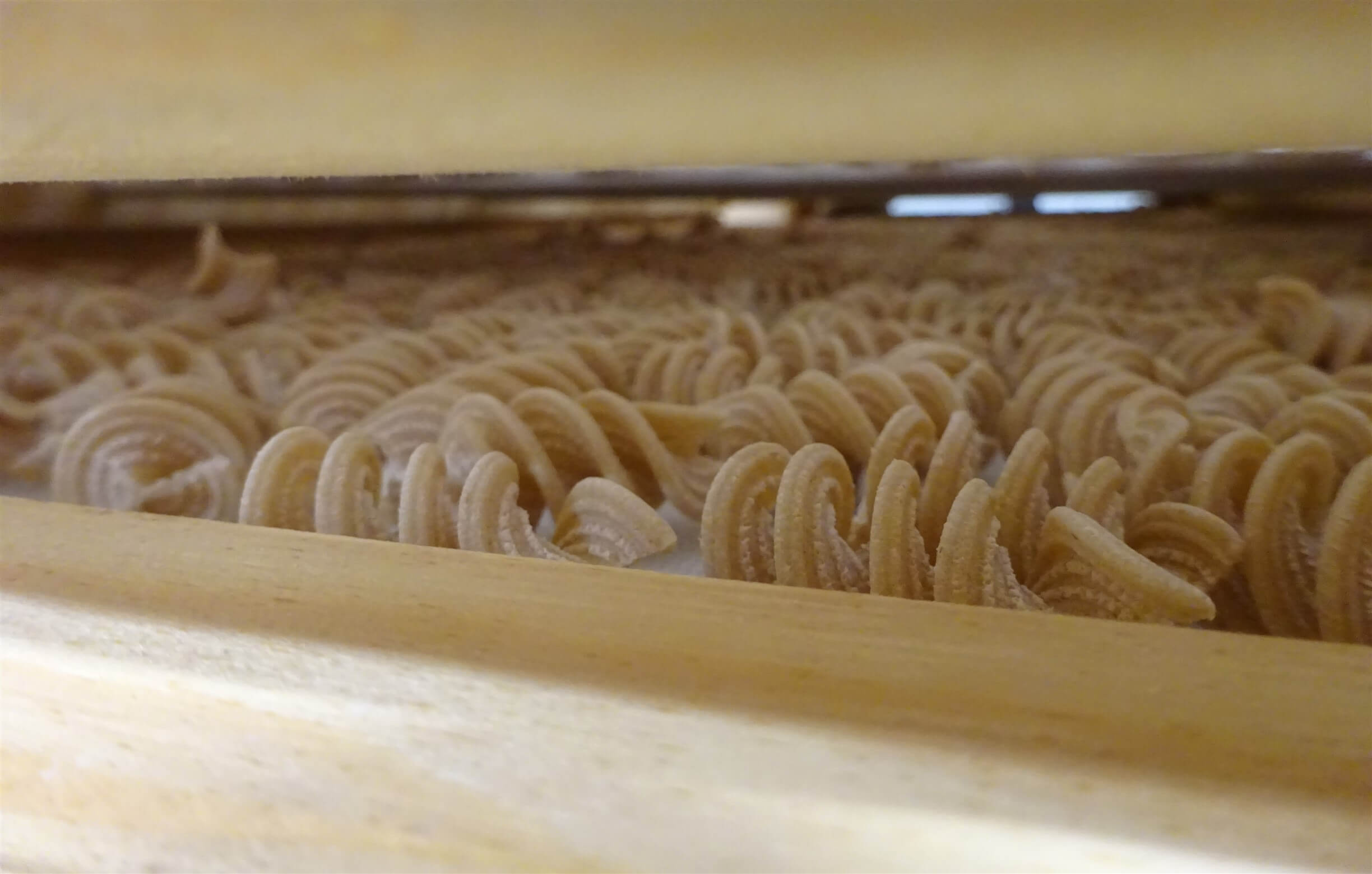 Pasta in essicazione Masseria Silene